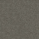 Apollo Plus Carpet