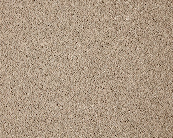Primo Grande Carpet