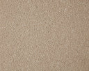 Primo Grande Carpet