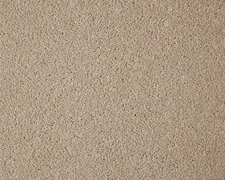 Primo Grande Carpet
