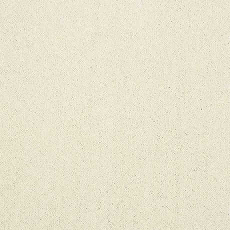 Captivation Carpet