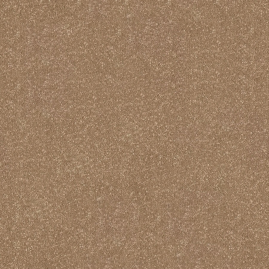 Stainfree Ultra Carpet