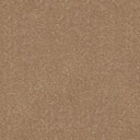Stainfree Ultra Carpet