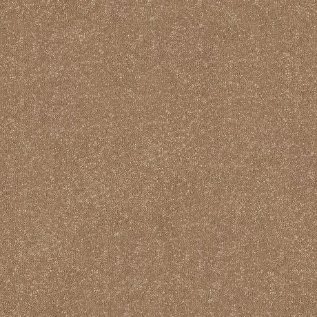 Stainfree Ultra Carpet