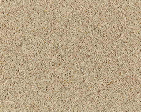 Natural Berber Twist Carpet
