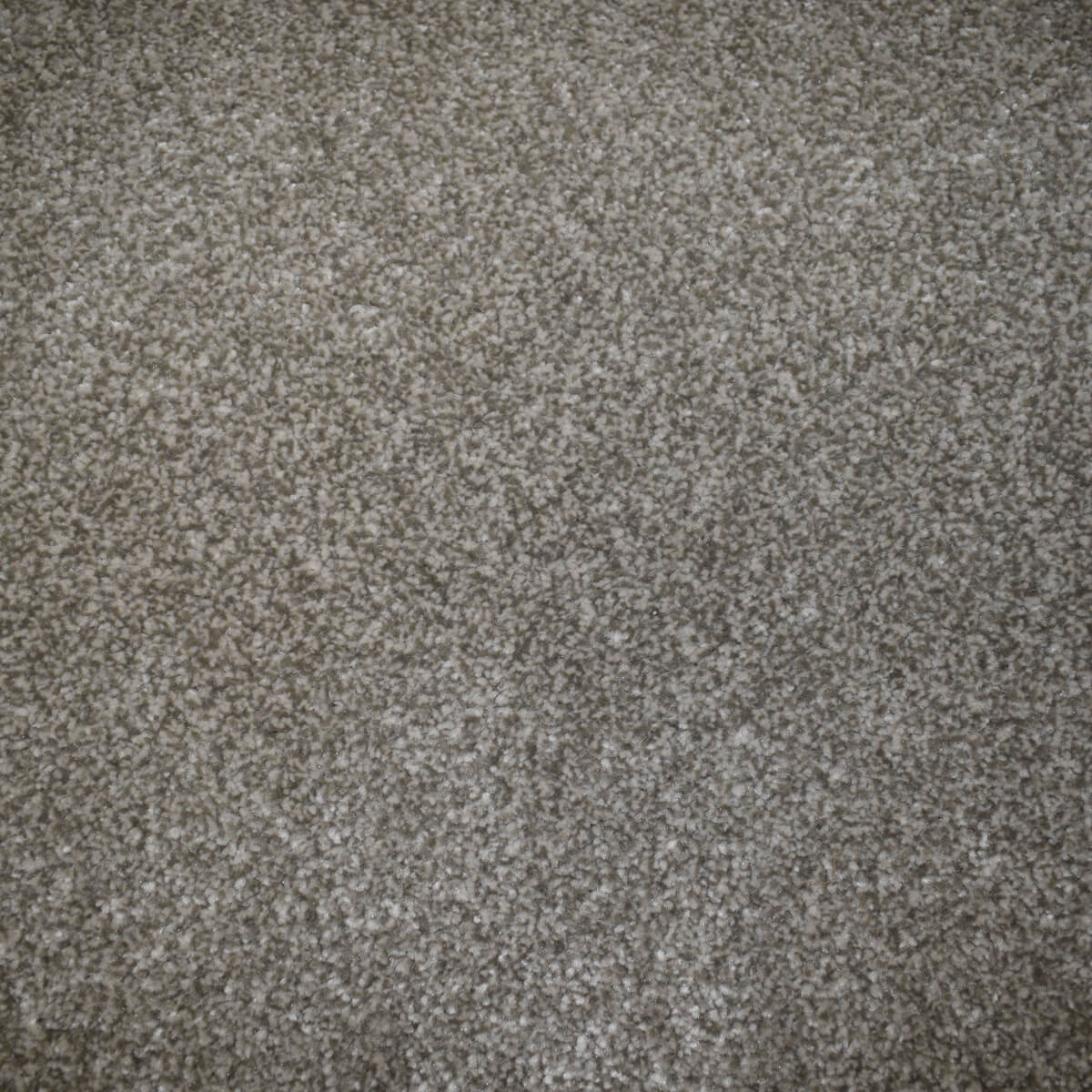 Colossus 356 (1.50m x 3.80m) M000862