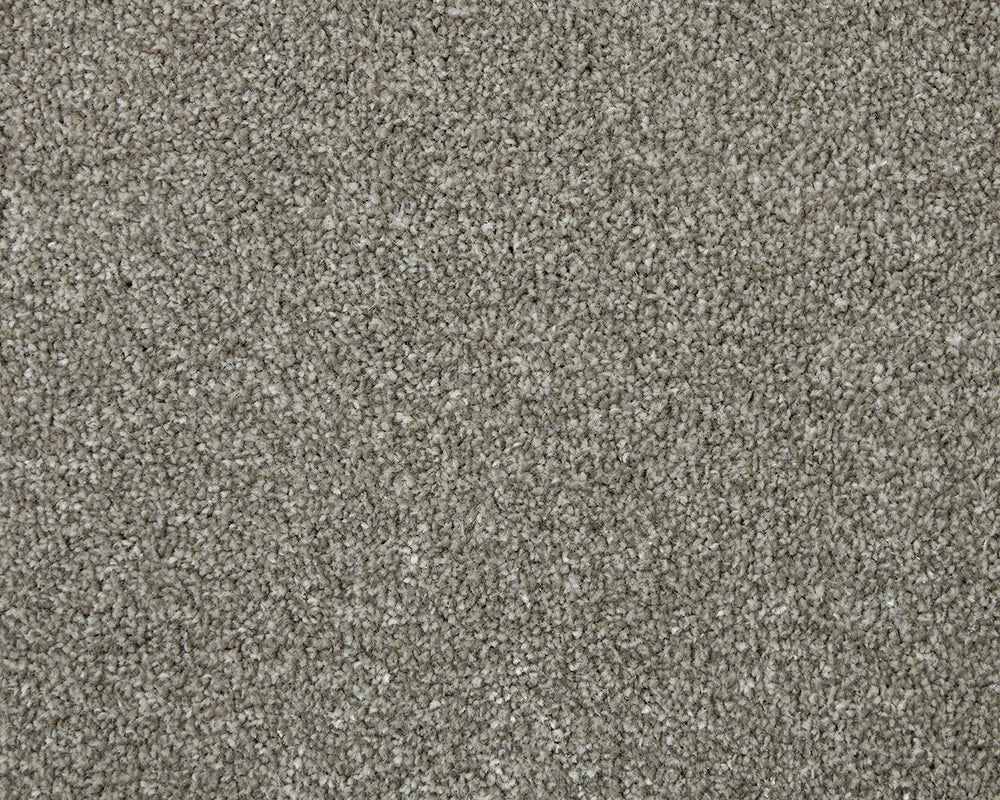 Apollo Elite Carpet