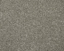 Apollo Elite Carpet