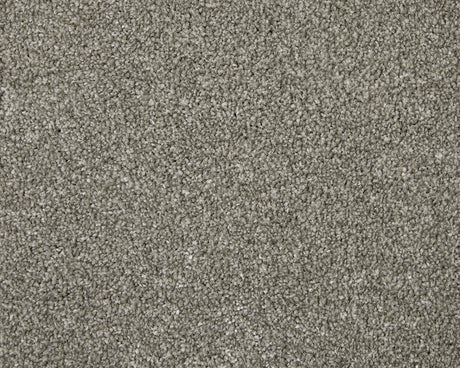 Apollo Elite Carpet