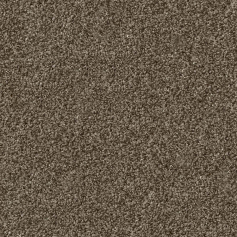Apollo Plus Carpet