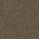 Apollo Plus Carpet