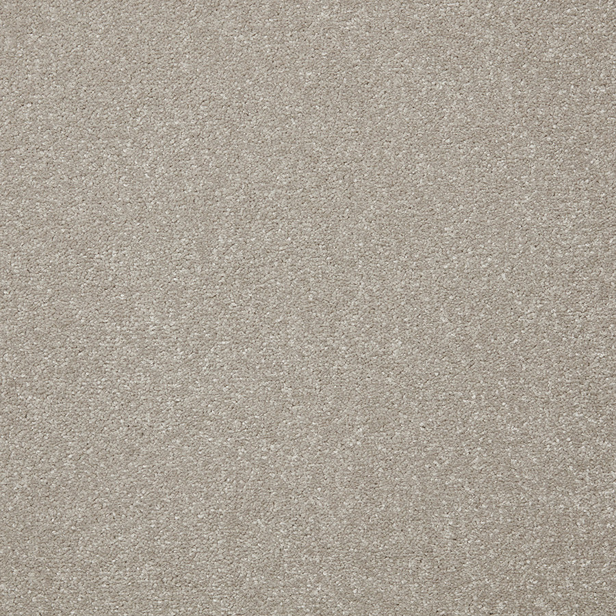 Primo Plus Carpet