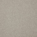 Primo Plus Carpet
