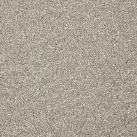 Primo Plus Carpet