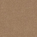 Stainfree Ultra Carpet