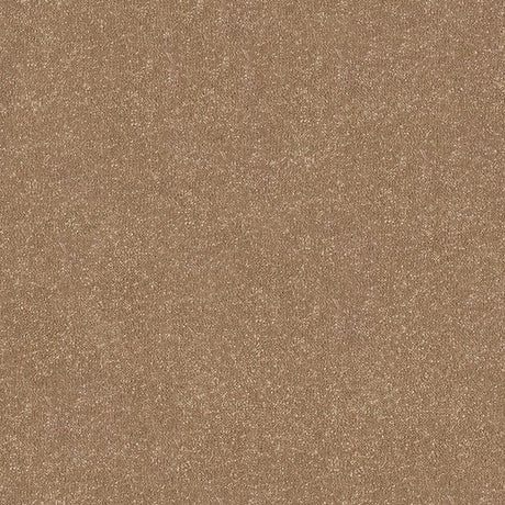 Stainfree Ultra Carpet