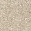 Stainfree Country Life Carpet