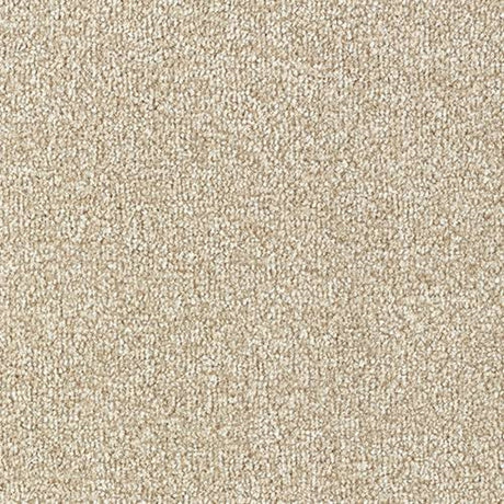 Stainfree Country Life Carpet