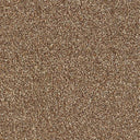 Stainfree Country Life Carpet