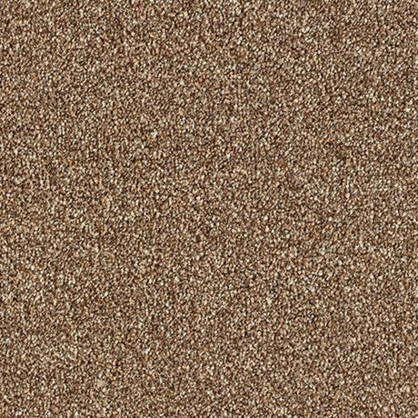 Stainfree Country Life Carpet