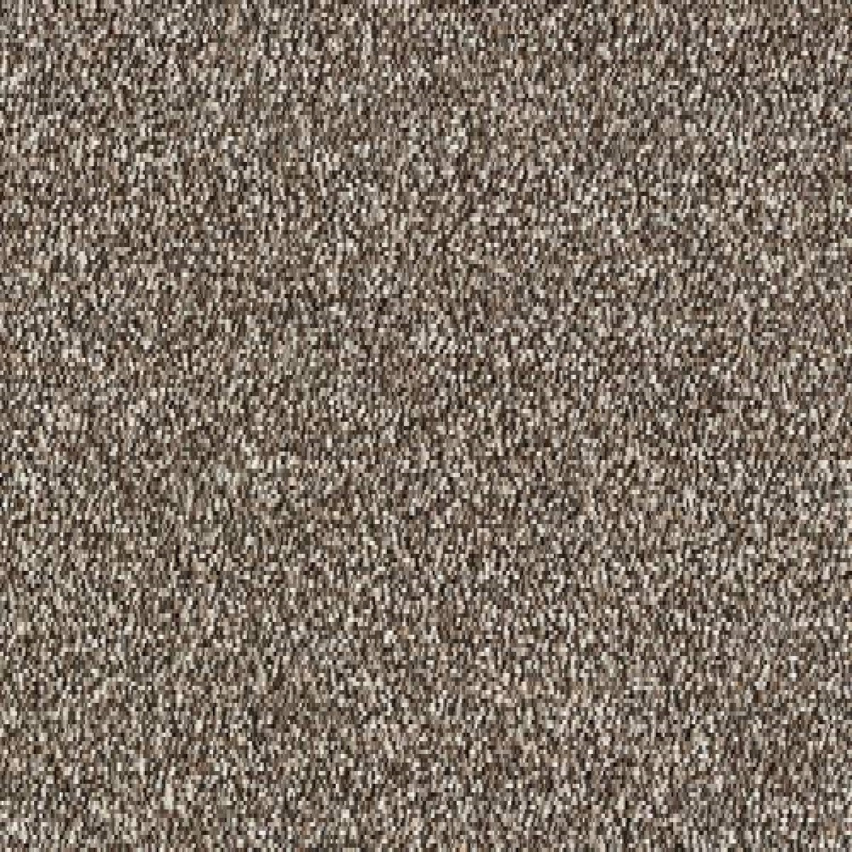 Stainfree Country Life Carpet