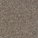Stainfree Country Life Carpet