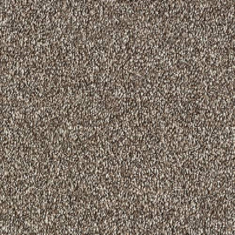 Stainfree Country Life Carpet