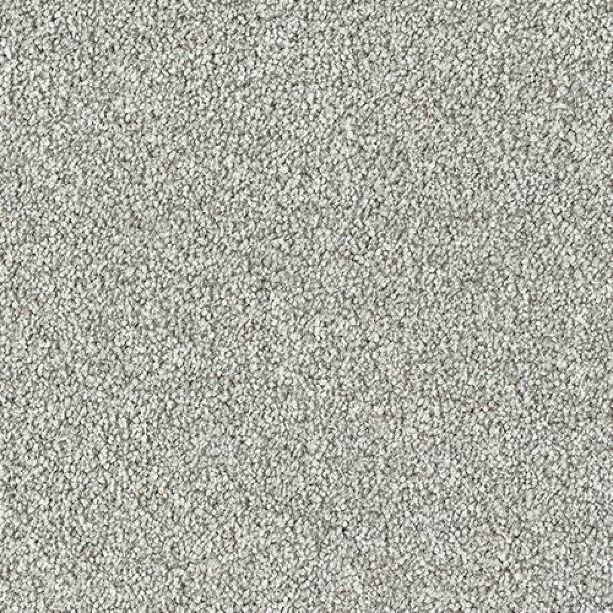 Stainfree Country Life Carpet