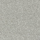 Stainfree Country Life Carpet