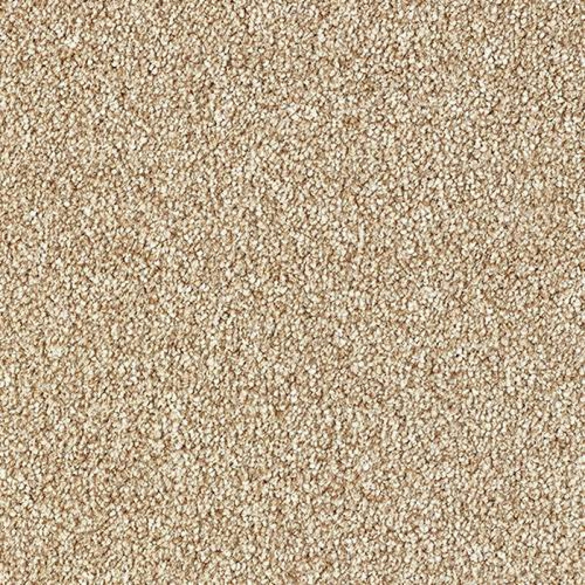 Stainfree Country Life Carpet