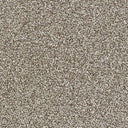 Stainfree Country Life Carpet