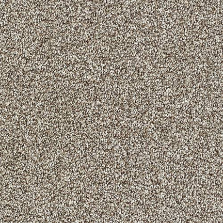 Stainfree Country Life Carpet