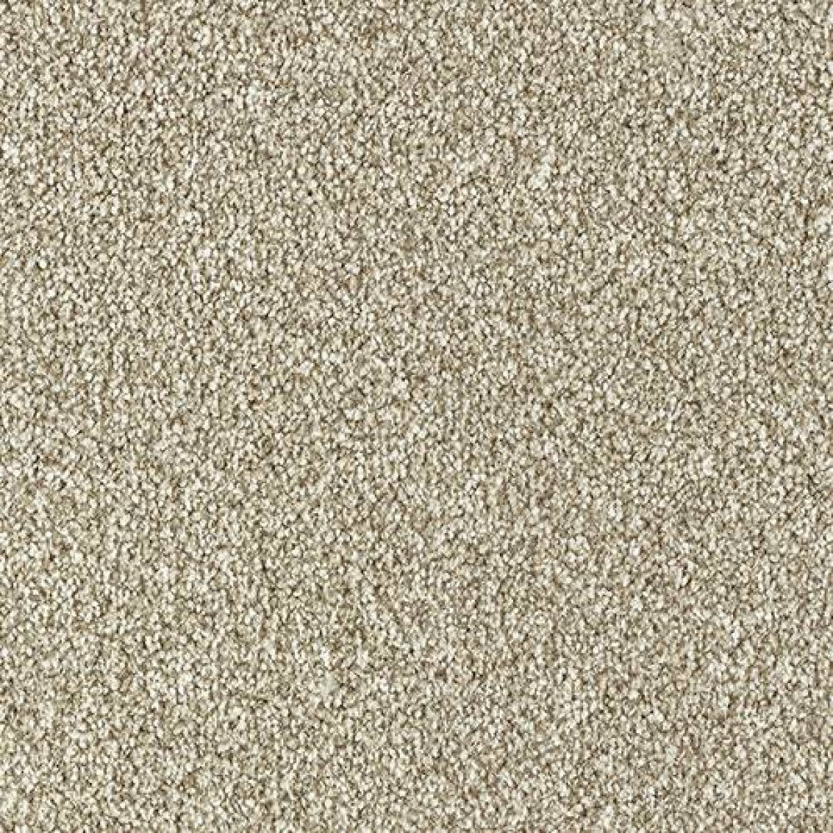 Stainfree Country Life Carpet