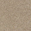 Stainfree Country Life Carpet