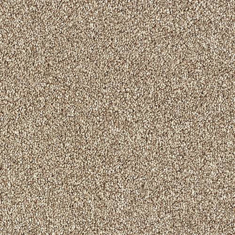 Stainfree Country Life Carpet