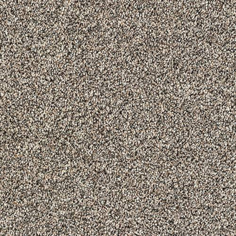 Stainfree Country Life Carpet
