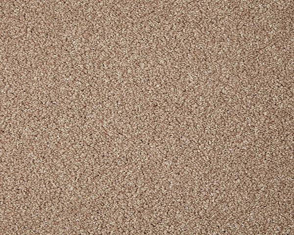 Primo Grande Carpet