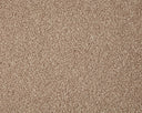 Primo Grande Carpet