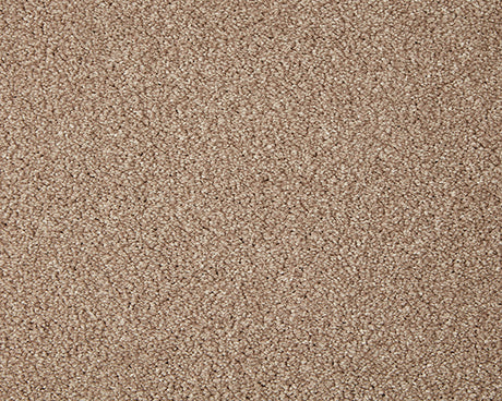 Primo Grande Carpet