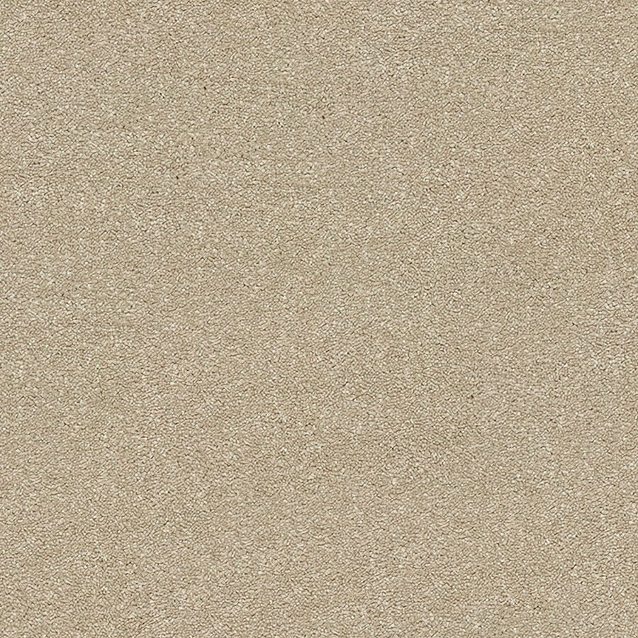 Stainfree Twist Carpet