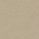 Stainfree Twist Carpet
