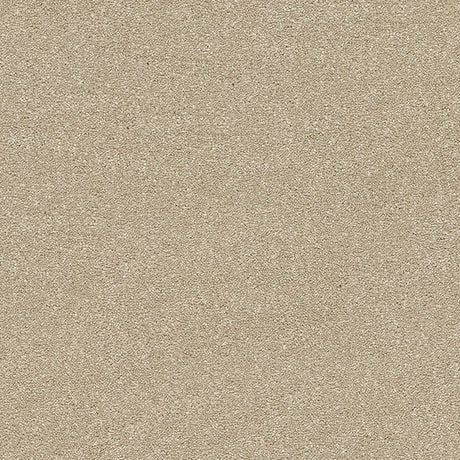 Stainfree Twist Carpet