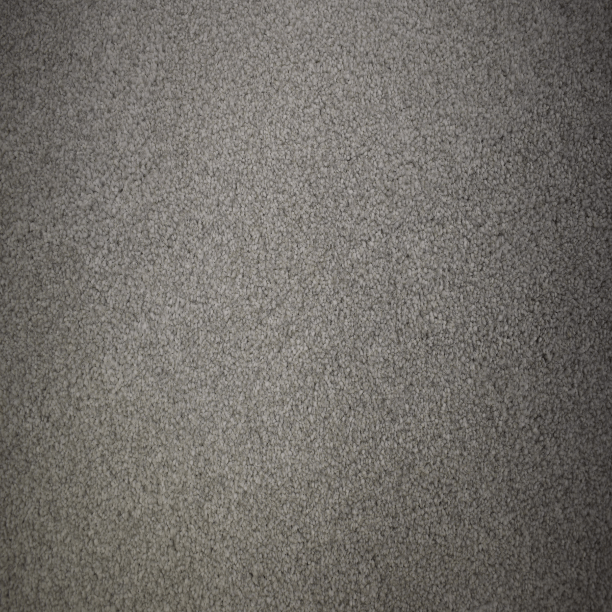 Darwin 715 (1.60m x 4.00m) M003737