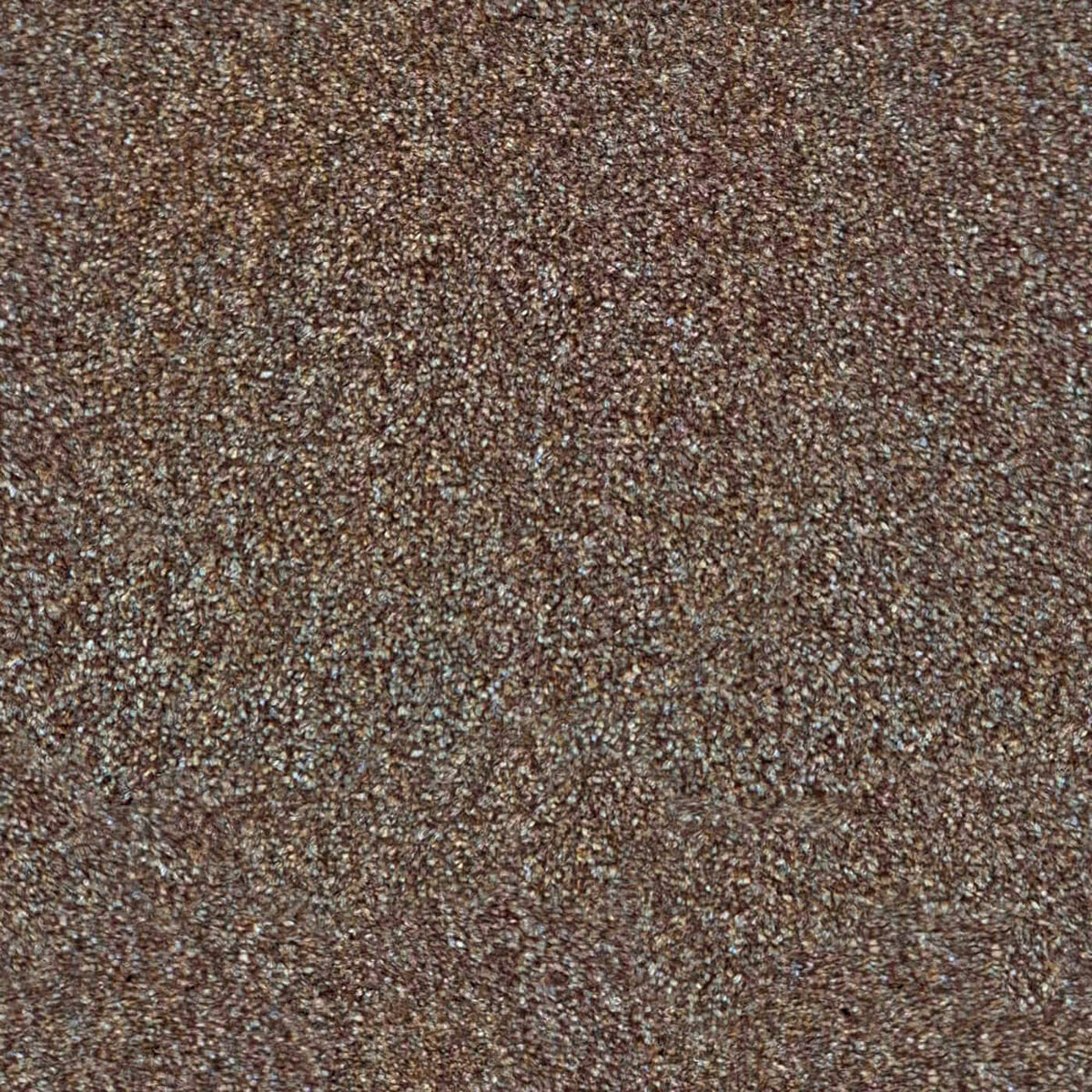 Derby Twist 6108 Biscuit (0.95m x 4.00m) Remnant