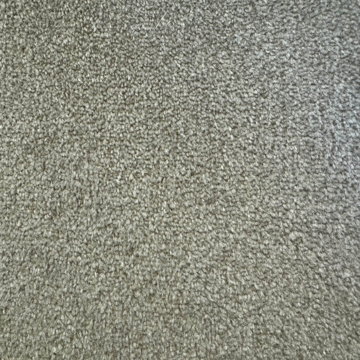 Derby Twist 6110 Pebble (3.75m x 4.00m) M017925