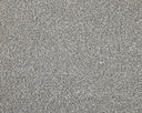 Apollo Elite Carpet