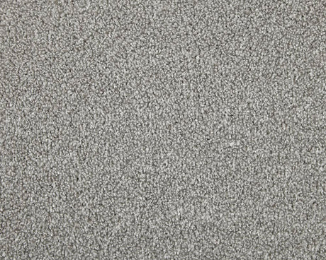 Apollo Elite Carpet