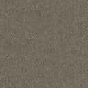 Stainfree Ultra Carpet