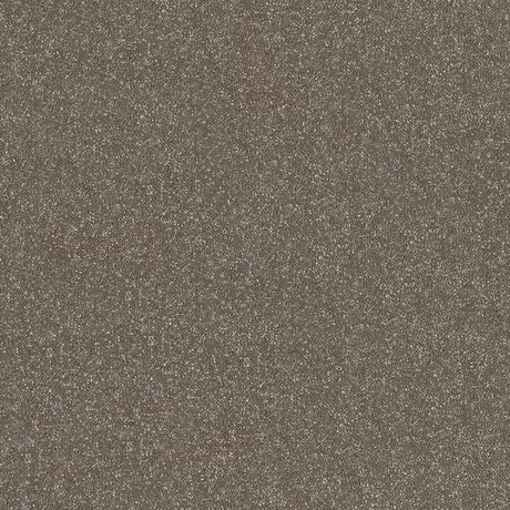 Stainfree Ultra Carpet