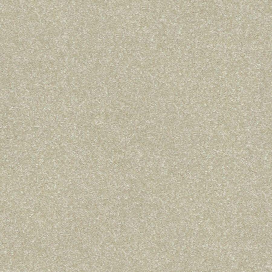 Stainfree Twist Carpet